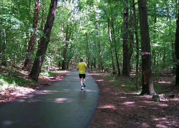 Wantaris 2 - Letniskowe Mielno-mielenko Lodge Mielenko